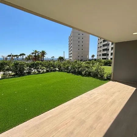 Posidonia ,punta Prima Torrevieja